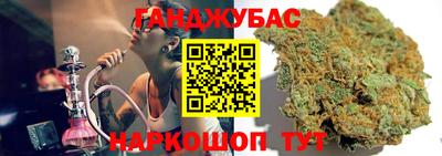дмт Кингисепп