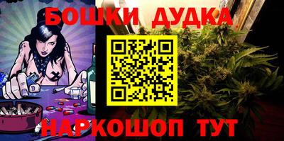 дмт Кингисепп