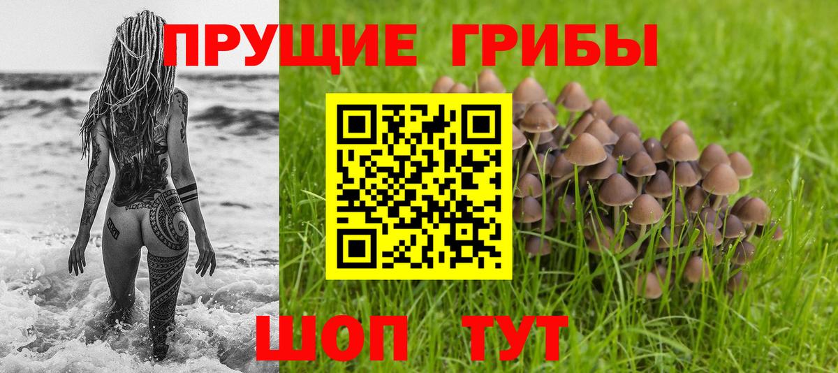 где можно купить   Галлюциногенные грибы прущие грибы  Вход с VPN  Кандалакша 